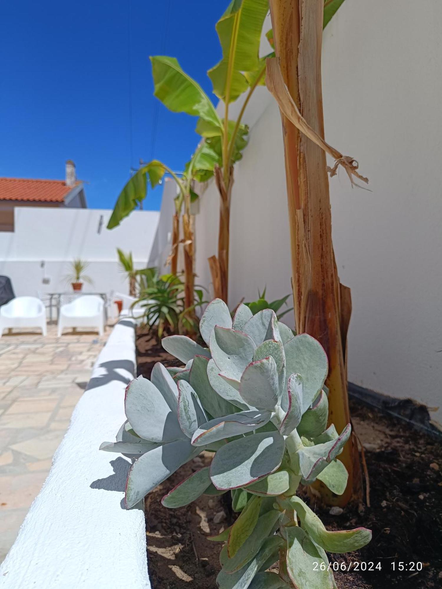 Supertubos House Peniche Atouguia Da Baleia Exterior foto